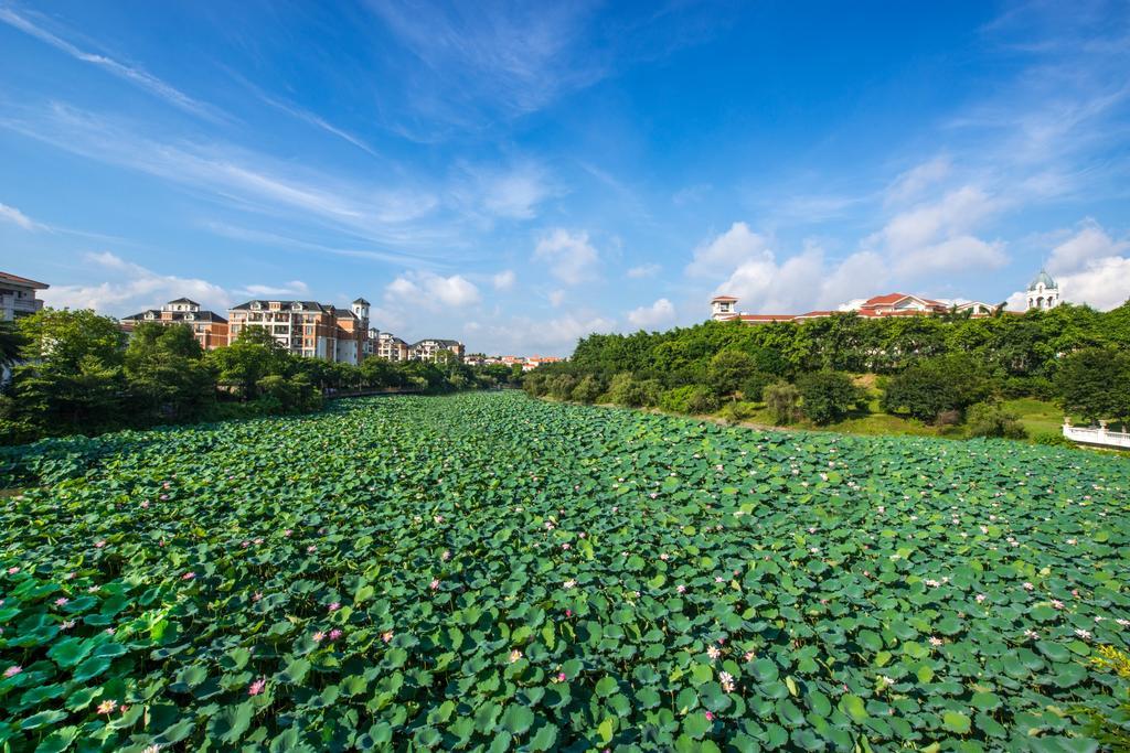 Heshan Phoenix Hotel 江门 外观 照片